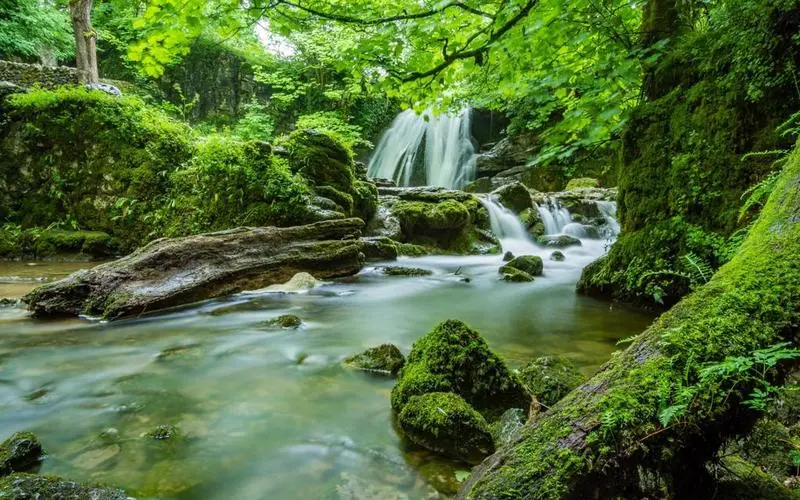 节能高效